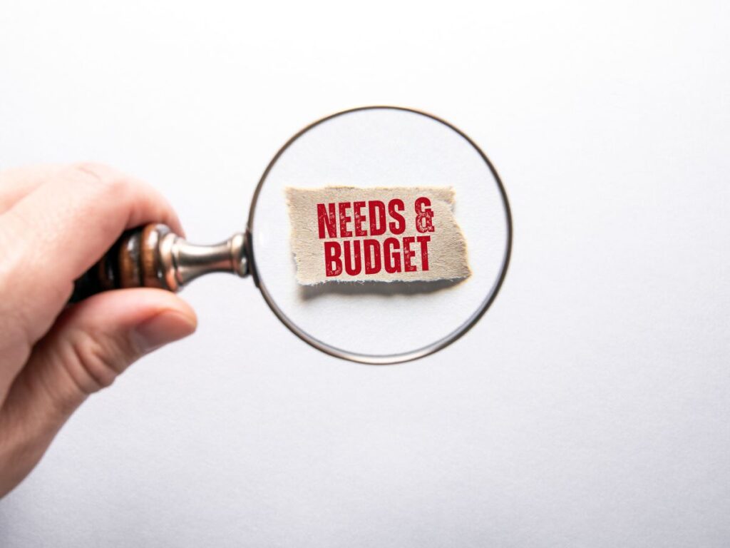 Magnifier showing needs and budget