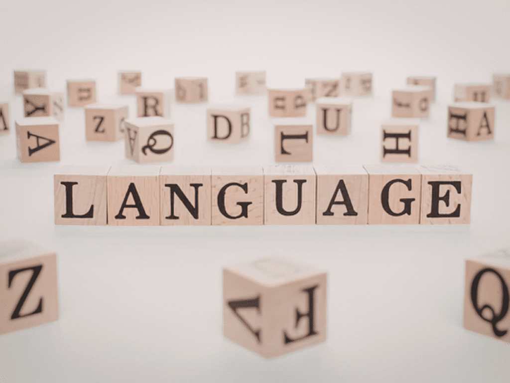 Wooden blocks spelling “LANGUAGE” with scattered letters around.